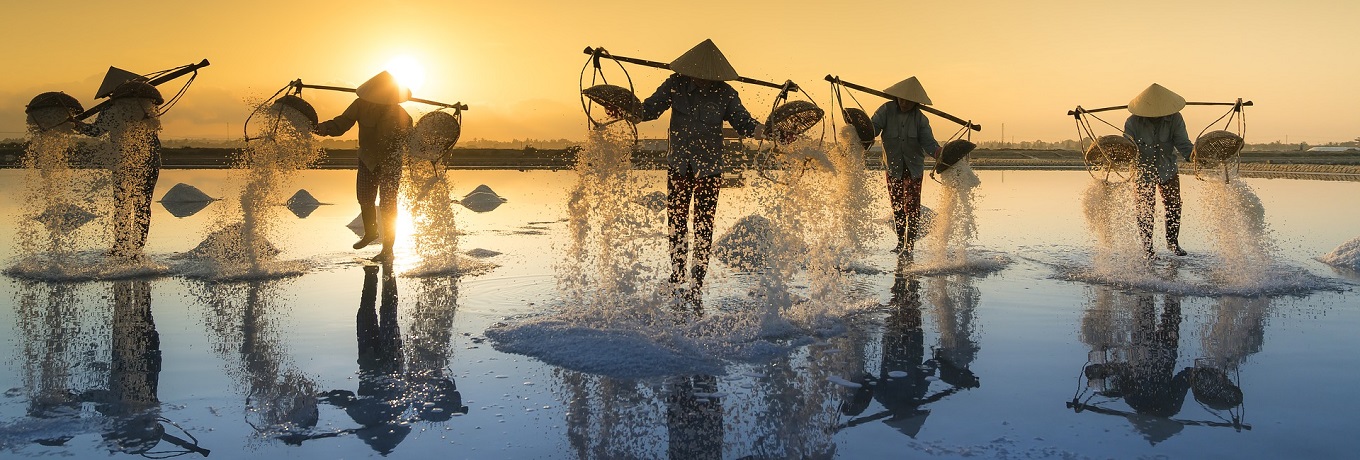 Whats on in Vietnam